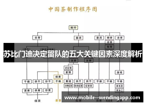 苏比门迪决定留队的五大关键因素深度解析 苏比门迪决定留队的五大关键因素深度解析