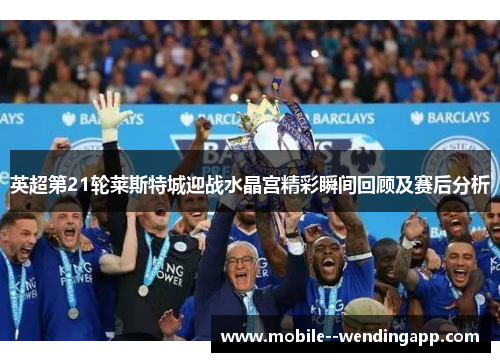 英超第21轮莱斯特城迎战水晶宫精彩瞬间回顾及赛后分析 英超第21轮莱斯特城迎战水晶宫精彩瞬间回顾及赛后分析