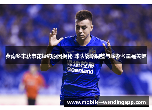 费南多未获申花续约原因揭秘 球队战略调整与薪资考量是关键 费南多未获申花续约原因揭秘 球队战略调整与薪资考量是关键