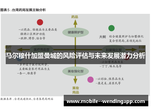 马尔穆什加盟曼城的风险评估与未来发展潜力分析 马尔穆什加盟曼城的风险评估与未来发展潜力分析