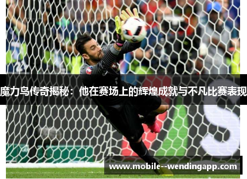 魔力鸟传奇揭秘:他在赛场上的辉煌成就与不凡比赛表现 魔力鸟传奇揭秘:他在赛场上的辉煌成就与不凡比赛表现