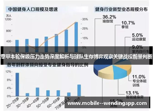 意甲本轮保级压力走势深度解析与球队生存博弈观察关键战役前景判断