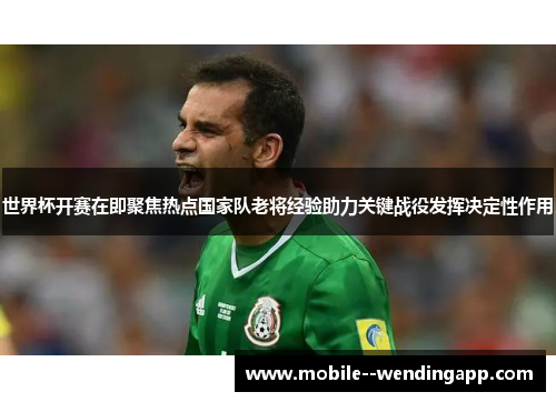 世界杯开赛在即聚焦热点国家队老将经验助力关键战役发挥决定性作用
