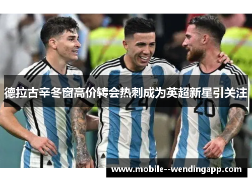 德拉古辛冬窗高价转会热刺成为英超新星引关注 德拉古辛冬窗高价转会热刺成为英超新星引关注